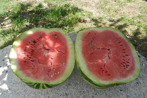 梦见吃酸瓜,酸瓜滋味背后的神秘启示