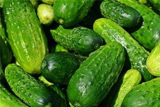 梦见吃酸瓜,酸瓜滋味背后的神秘启示