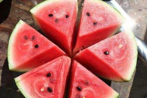 麻城吃瓜,揭秘当地特色美食背后的故事