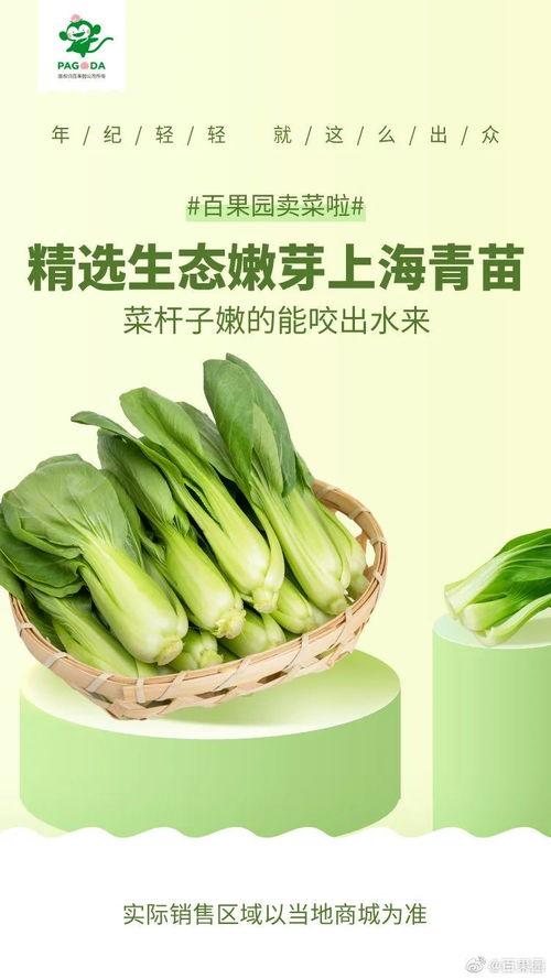 吃瓜没吃明白的文案,揭秘那些让人一头雾水的幕后真相