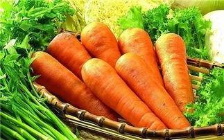 莱州高阳吃瓜,探寻瓜乡风情，品味夏日清凉