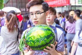 吃瓜的大外孙,揭秘吃瓜大外孙的趣味生活