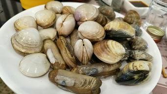 威海探探吃瓜,一场夏日吃瓜盛宴的味蕾之旅