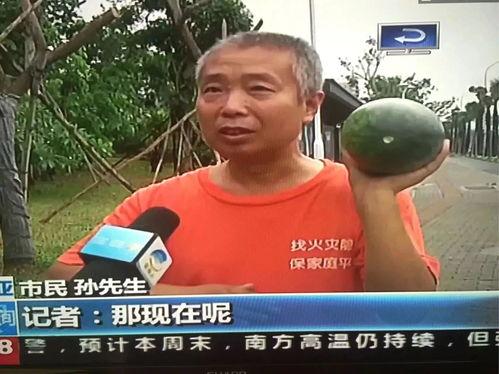 热门事件吃瓜911,吃瓜群众视角下的历史巨变