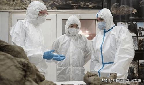 解剖尸体吃瓜,揭秘医学研究中的伦理争议与道德困境