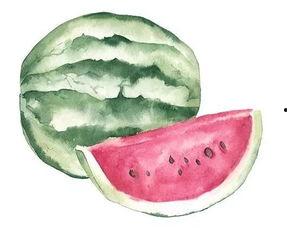 吃瓜者终被吃瓜,揭秘网络舆论的轮回法则