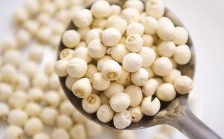 吃蒲瓜回奶,传统食疗法在现代生活中的应用与探索