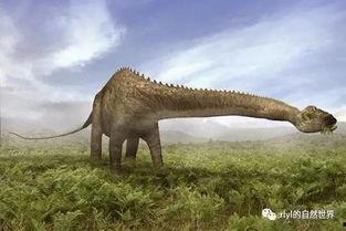 梁龙吃瓜,揭秘娱乐圈幕后真相