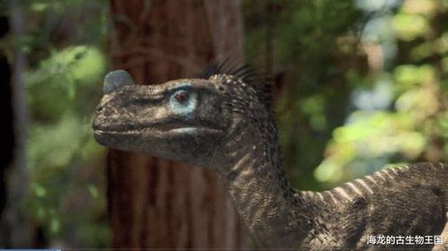 梁龙吃瓜,揭秘娱乐圈幕后真相