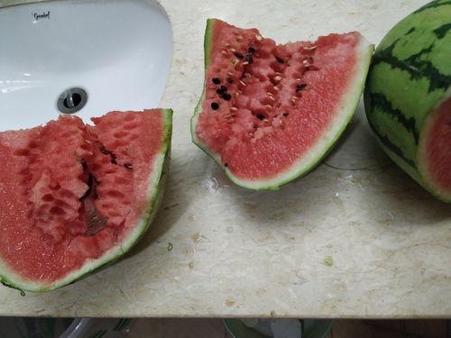 新疆网红吃瓜视频,一场视觉与味蕾的盛宴