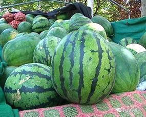 瓜头怎样吃,解锁多样吃法，尽享美味时光