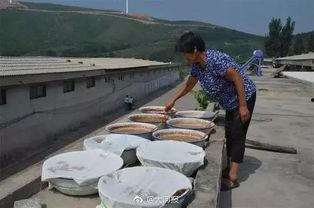 大妈打仗吃瓜,吃瓜群众眼中的烽火岁月