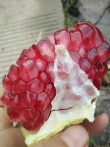 例假吃红宝石瓜,红宝石瓜助力女性健康调理