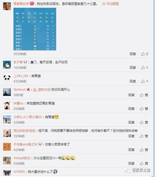 综艺绑定吃瓜系统,揭秘明星幕后故事，带你领略娱乐圈风云变幻