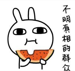 看瓜吃瓜的搞笑句子,看瓜吃瓜搞笑句子大盘点