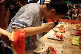 三名吃瓜群众视频大全下载,视频大全背后的趣味人生