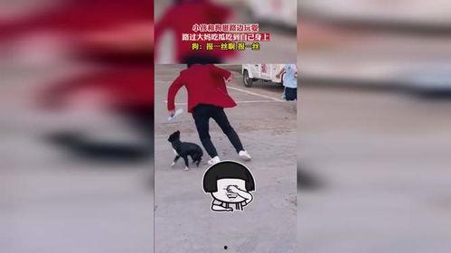 路边吃瓜大妈视频,视频记录人间百态