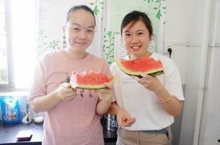 幸福吃瓜群众视频大全集,视频大全集精彩瞬间回顾