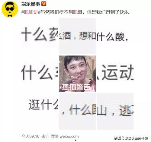 网传狗子吃瓜视频,狗狗意外成“吃瓜群众”