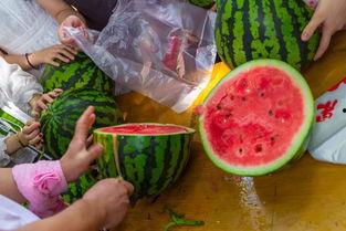 如何做好吃的吃瓜视频,轻松制作美味吃瓜视频攻略