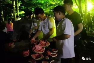 学校打架吃瓜事件视频,一场打架事件的视频记录与反思