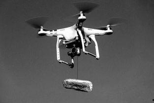 无人机吃瓜视频,揭秘瓜田里的秘密生活