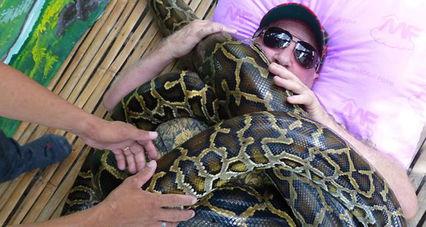 尼加拉瓜吃蟒蛇视频播放,勇敢食蟒者挑战极限，蟒蛇美食视频引热议