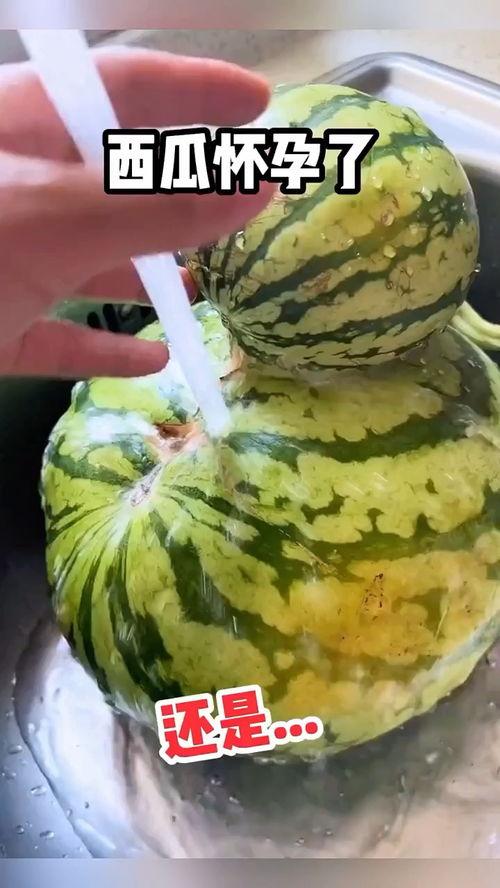 吃瓜搞笑视频日本,笑料百出，笑翻你的周末时光