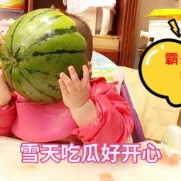 小七吃瓜日常视频,揭秘娱乐圈幕后故事