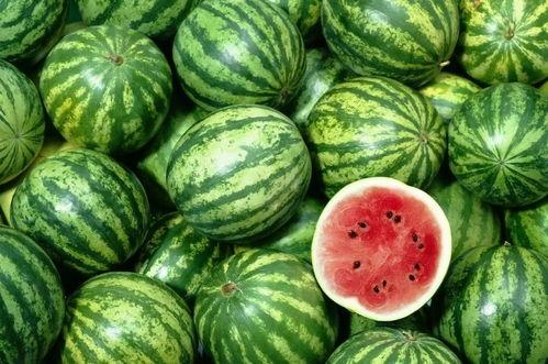 吃瓜西瓜翻车视频大全