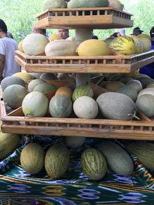 新疆吃瓜的视频大全