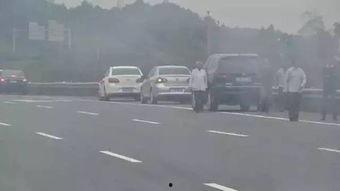 塘头路吃瓜群众事件视频,街头冲突瞬间引发全民热议