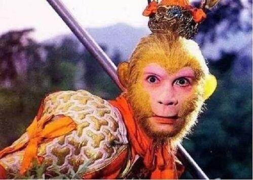 西游记老猪吃瓜音乐视频