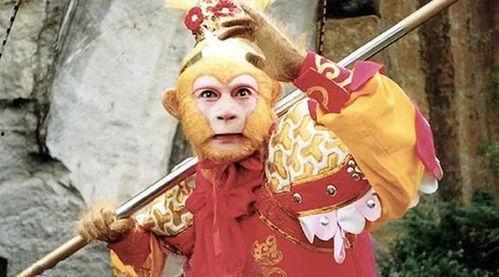 西游记老猪吃瓜音乐视频