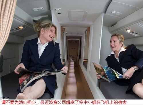 空少空姐吃瓜视频大全,吃瓜视频大全大揭秘