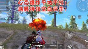 小鸡吃瓜视频,萌宠趣味瞬间捕捉