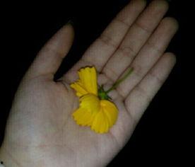 吃瓜群众吸瓜视频大全集